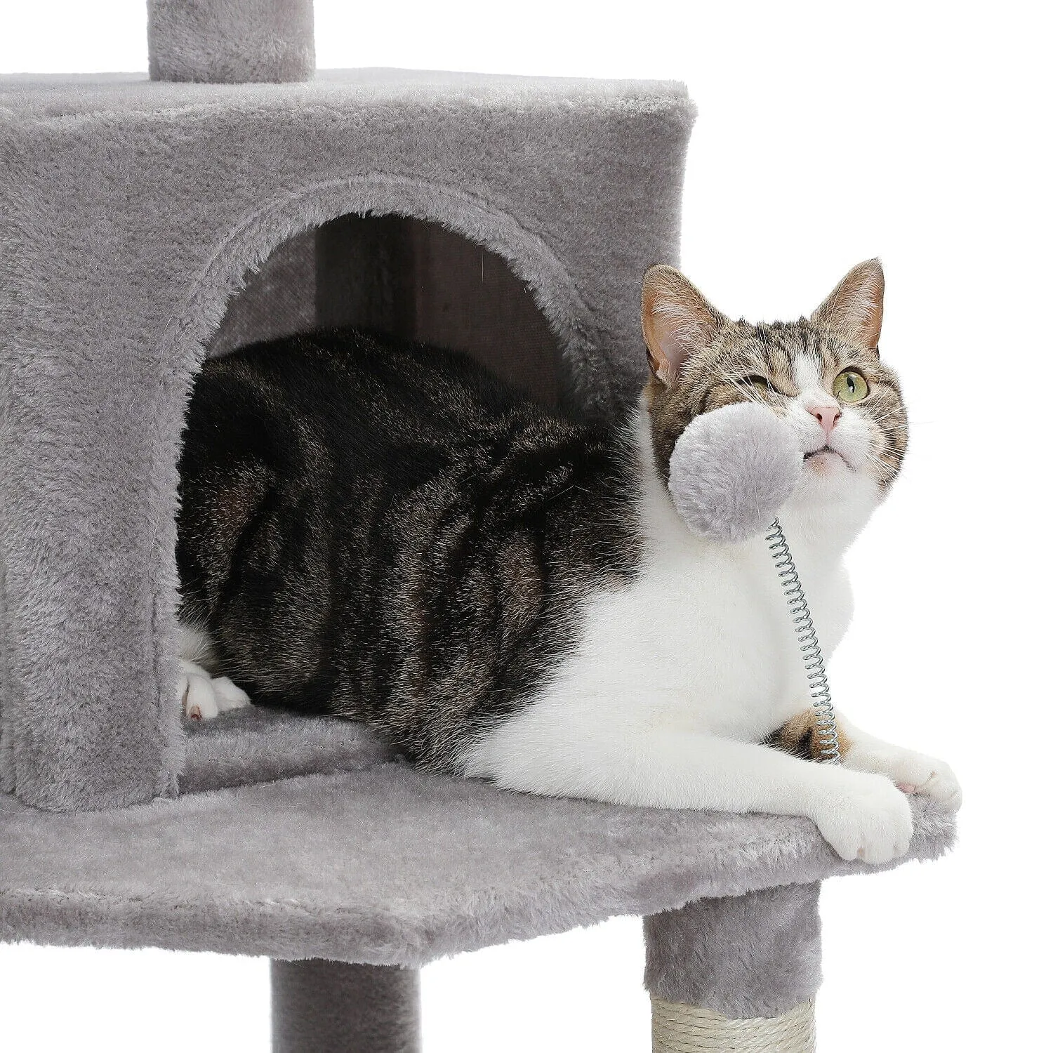 63.8" CAT SCRATCHING POST / TREE / POLE