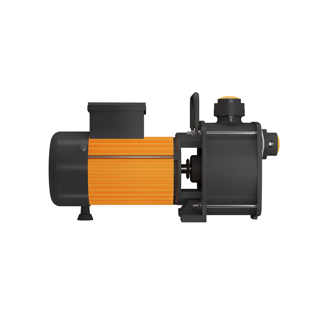 High Suction Shallow well Pump 1 HP - SWJ100AP-36 PLUS