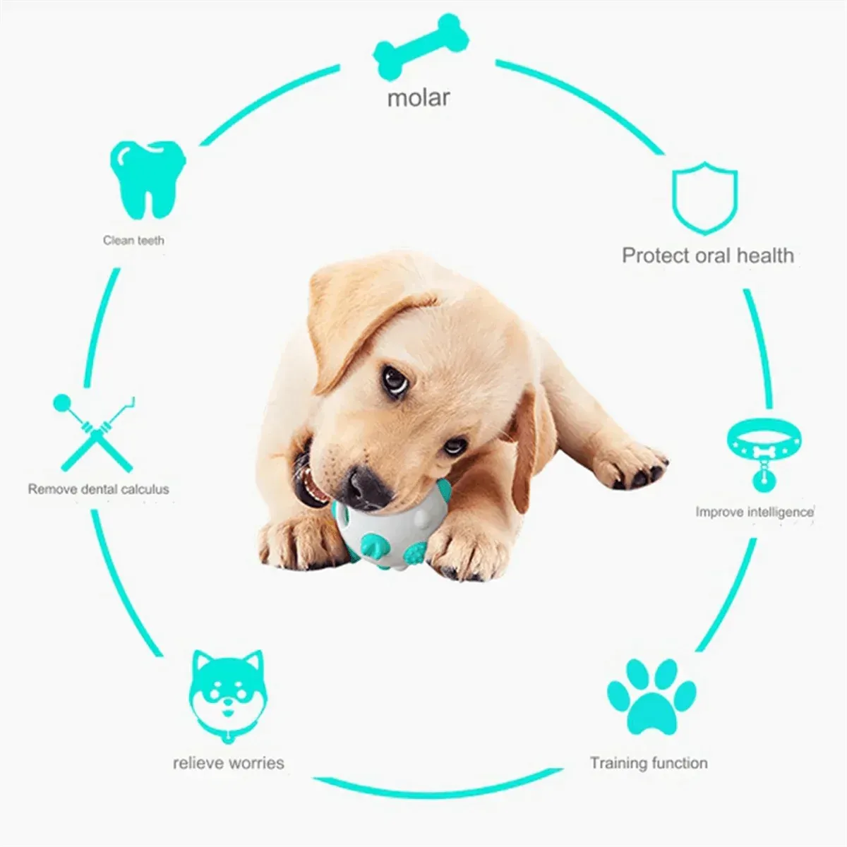 Innovative Teething Toys: Safe, Gentle, and Fun for Puppies!