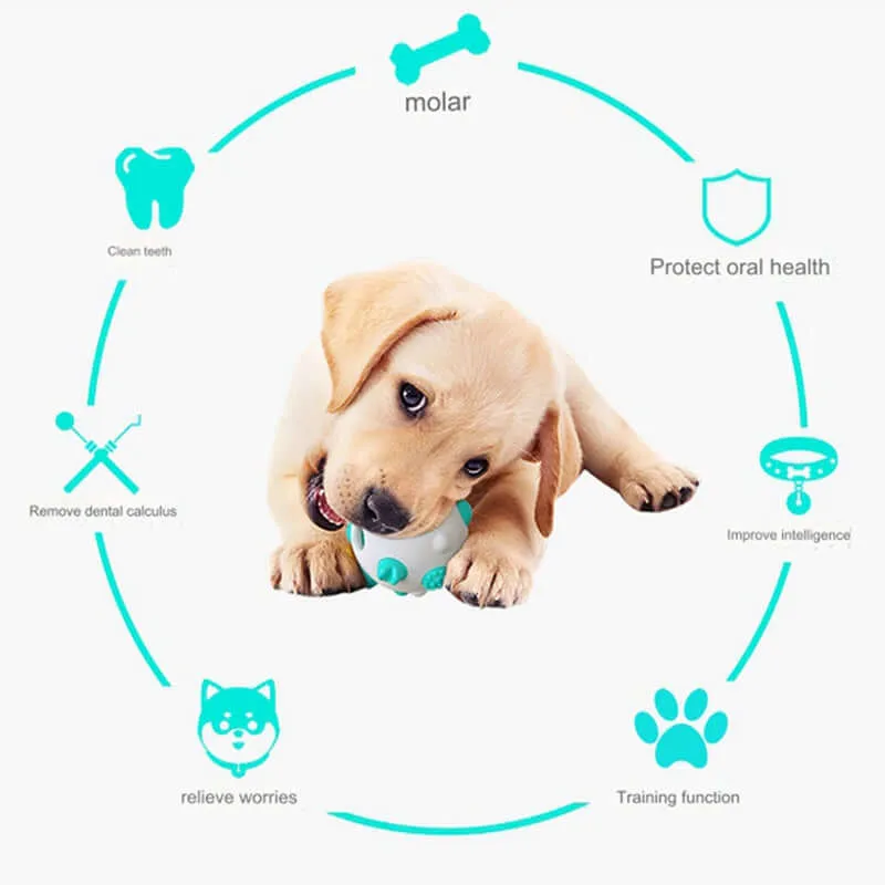 Innovative Teething Toys: Safe, Gentle, and Fun for Puppies!