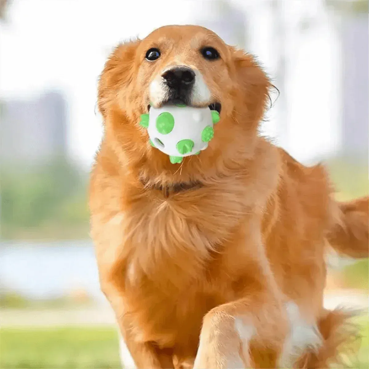 Innovative Teething Toys: Safe, Gentle, and Fun for Puppies!