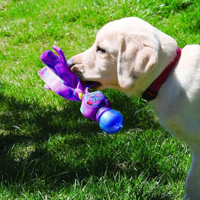 Kong Wubba Cosmos Dog Toy (Assorted Colours)