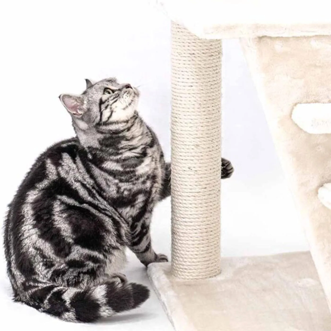 Little Rebels Reno 110cm Cat Tree