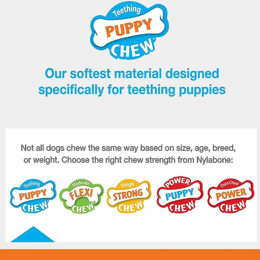 Nylabone Teething Keys Puppy Chew Bacon Flavored Dog Toy