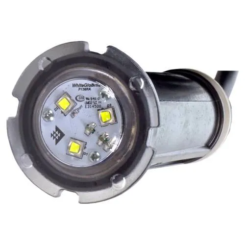 Pentair GloBrite White LED Light 602105 - 150 Foot Cord
