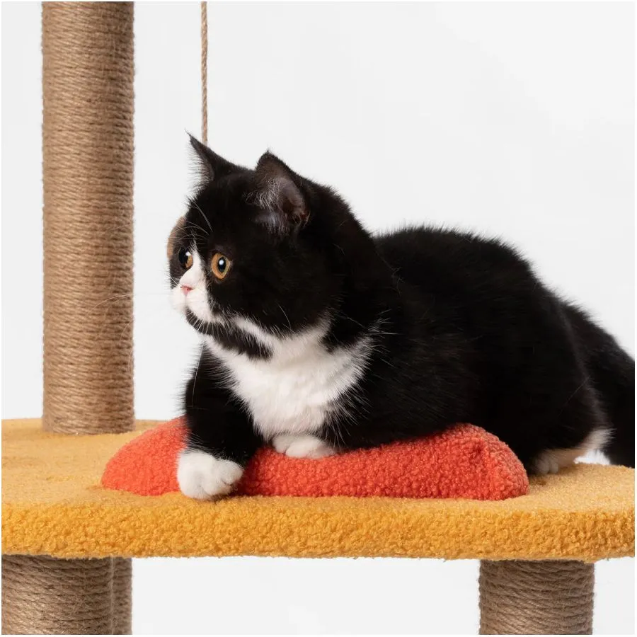 Pidan Cat Tree Jump Jump