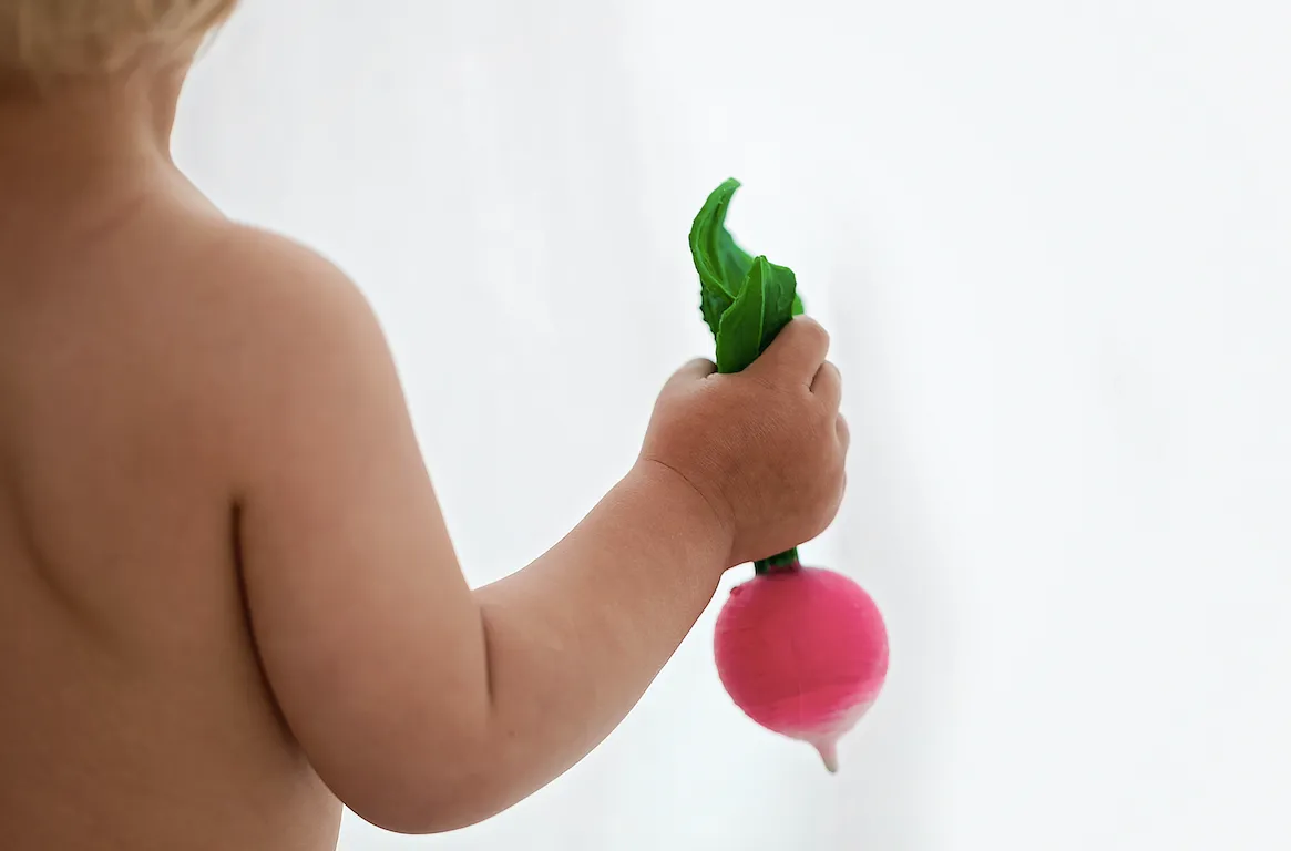 Ramona the Radish Teether by Oli & Carol