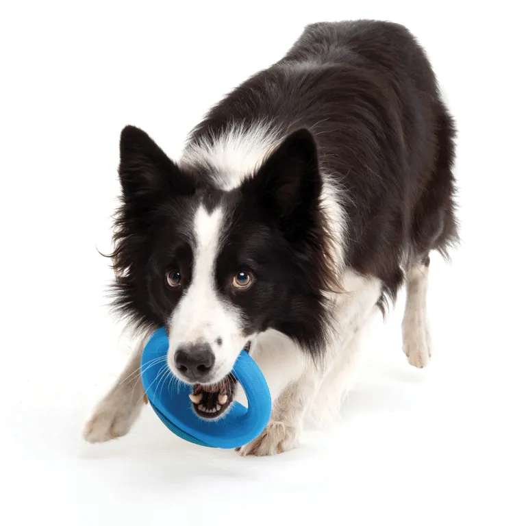 Rogz Pop-Upz Self-Right Ing Float & Fetch Toy