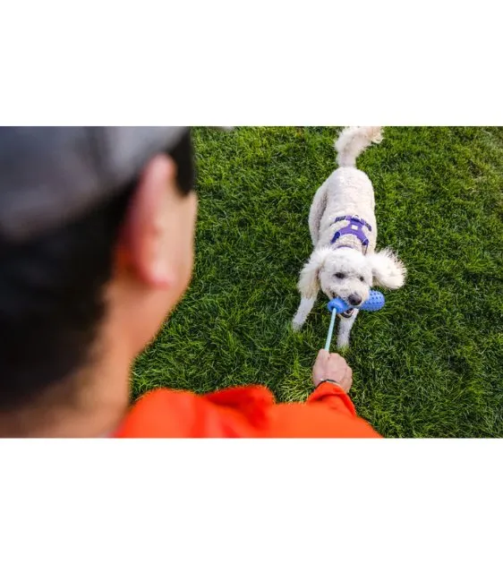 Ruffwear Gourdo™ Interactive Rubber Throw Dog Toy (Heliotrope Purple)