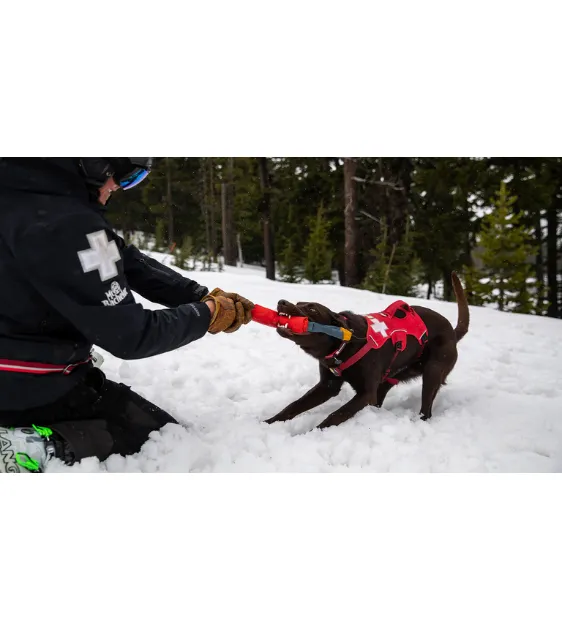 Ruffwear Pacific Loop™ Tug & Fetch Dog Toy (Aurora Teal)