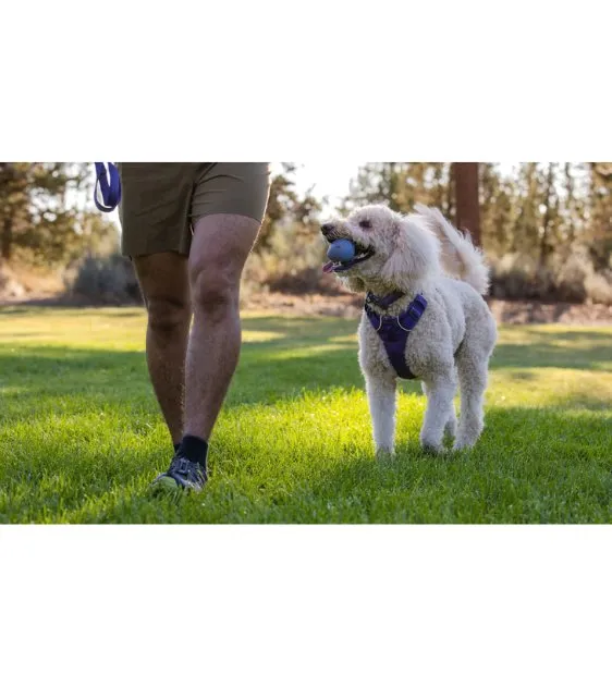 Ruffwear Turnup™ Interactive Rubber Throw Dog Toy (Sage Green)