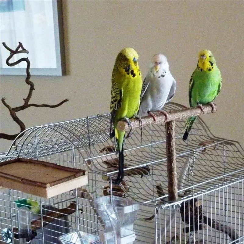 T-Shaped Bird's Perch