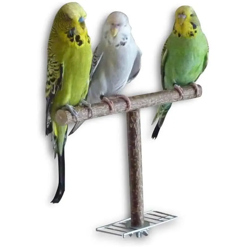T-Shaped Bird's Perch