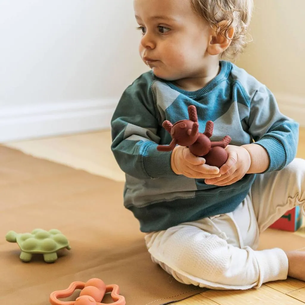 The Chew - Ant-icipation Teether by Doddle & Co