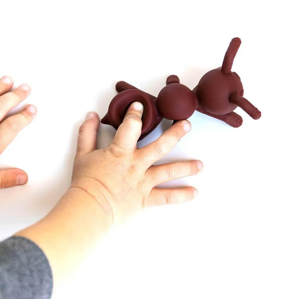 The Chew - Ant-icipation Teether by Doddle & Co