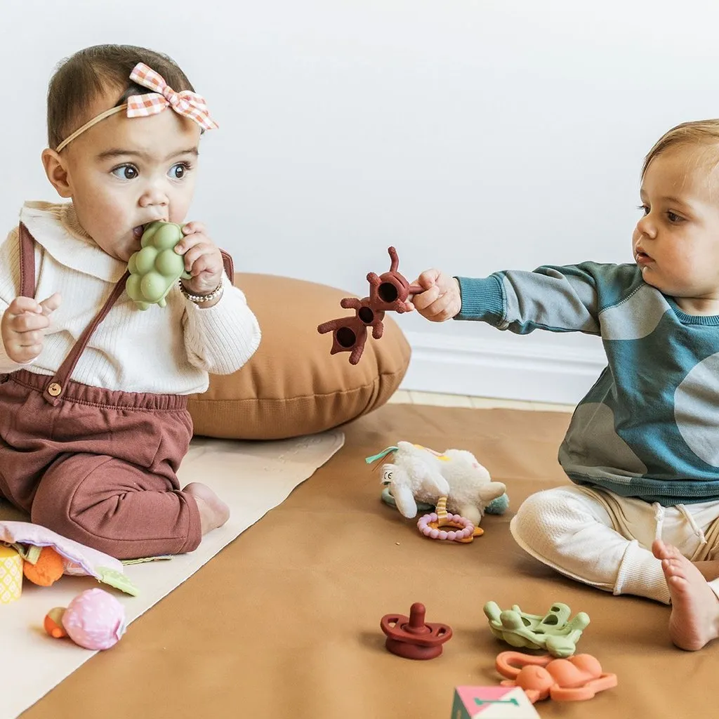 The Chew - Slow Poke Turtle Teether by Doddle & Co