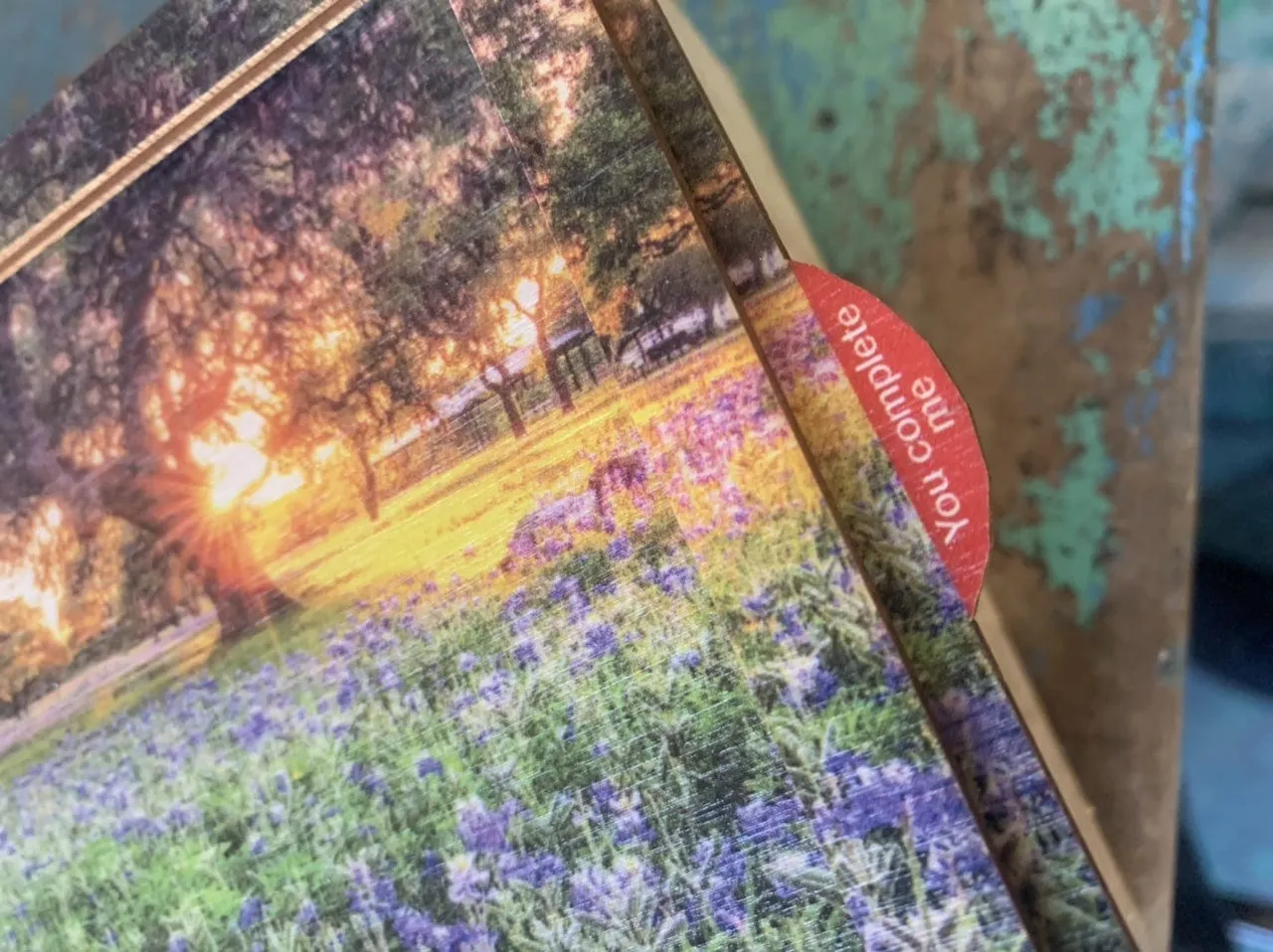 The Window Trail | National Parks Puzzle | 250, 500, 1000 Pieces